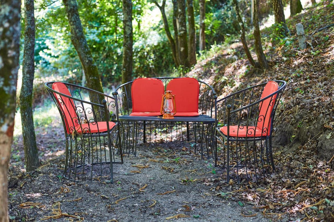 Quinta Do Lordelo Turismo Rural بينافيل المظهر الخارجي الصورة