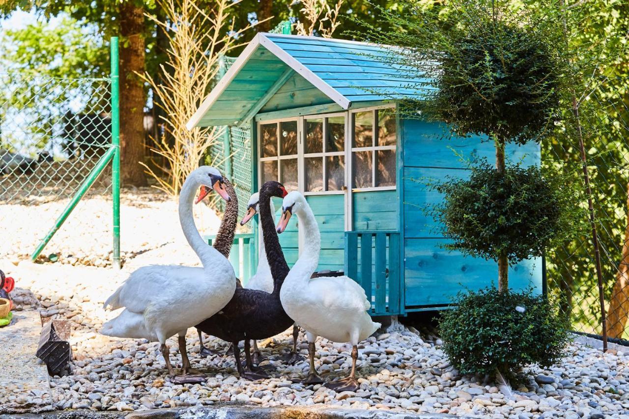 Quinta Do Lordelo Turismo Rural بينافيل المظهر الخارجي الصورة